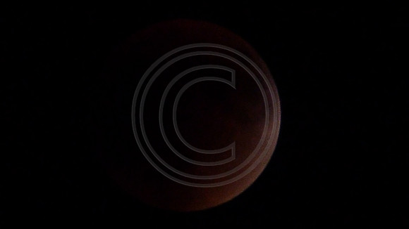 Super Moon Eclipse Lumix-1150101.jpg