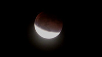 Super Moon Eclipse Lumix-1150118.jpg