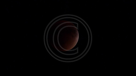 Super Moon Eclipse Lumix-1150100.jpg