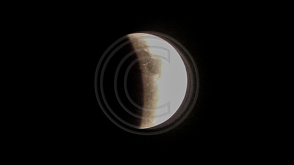 Super Moon Eclipse Lumix-1150087.jpg