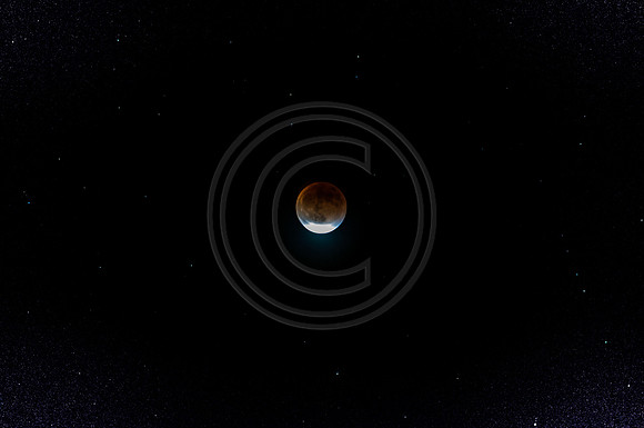 Super Moon Eclipse Nikon-3944.jpg