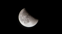 Super Moon Eclipse Lumix-1150140.jpg