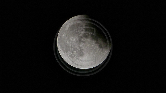 Super Moon Eclipse Lumix-1150158.jpg