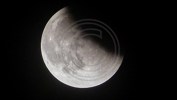 Super Moon Eclipse Lumix-1150139.jpg
