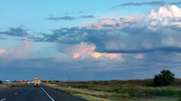 JAX_2624.jpg