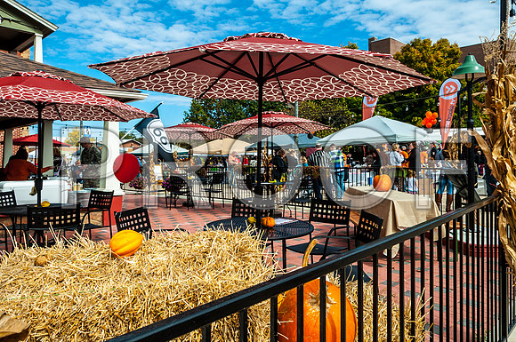 Oktoberfest 2015-6580.jpg
