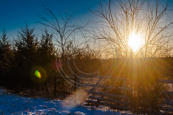 untitled-0020.jpg