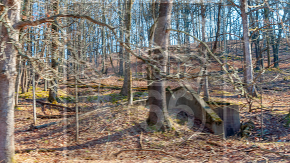 Lone Elk Park (C)PicsbyJax-0113.jpg