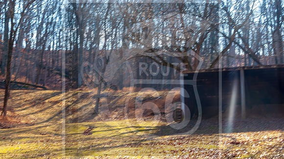 Lone Elk Park (C)PicsbyJax-0114.jpg