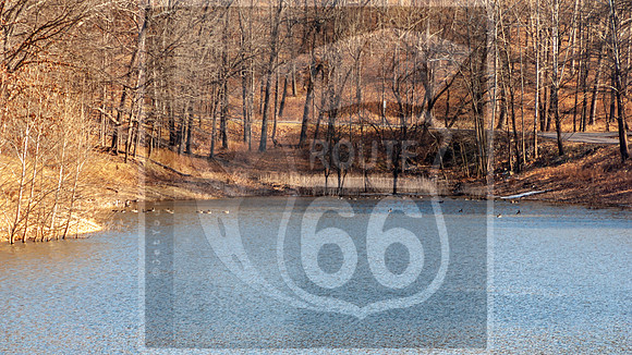 Lone Elk Park (C)PicsbyJax-0108.jpg