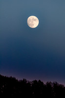 untitled-0498.jpg