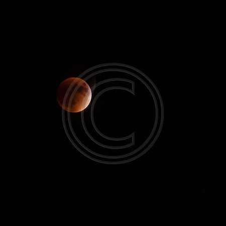 Super Moon Eclipse Nikon-3916.jpg