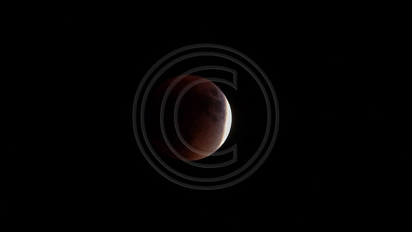 Super Moon Eclipse Lumix-1150094.jpg