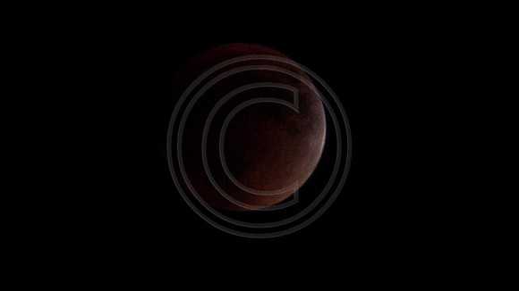 Super Moon Eclipse Lumix-1150098.jpg