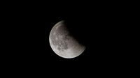 Super Moon Eclipse Lumix-1150146.jpg