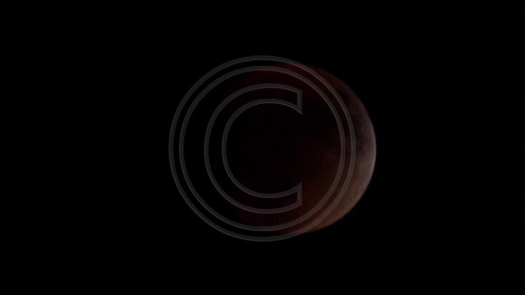 Super Moon Eclipse Lumix-1150099.jpg