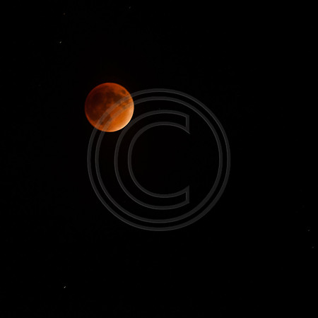Super Moon Eclipse Nikon-3921.jpg