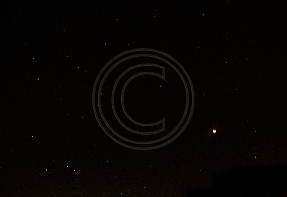 Super Moon Eclipse Nikon-3929.jpg