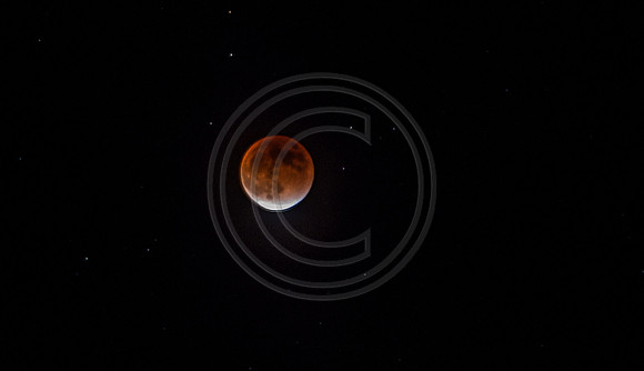 Super Moon Eclipse Nikon-3937.jpg