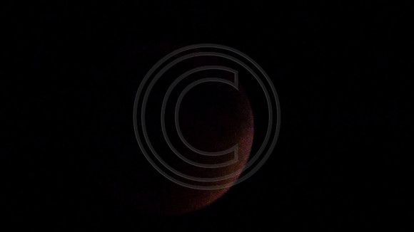 Super Moon Eclipse Lumix-1150107.jpg