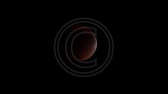 Super Moon Eclipse Lumix-1150097.jpg