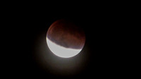Super Moon Eclipse Lumix-1150117.jpg
