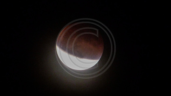 Super Moon Eclipse Lumix-1150117.jpg