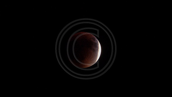 Super Moon Eclipse Lumix-1150093.jpg
