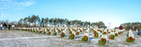 Wreaths Across America 2016 (c)2016PicsbyJax remember honor teach waa16 ftleonardwoodmo waynesvillemo  picsbyjax-4086.jpg