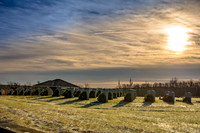 Wreaths Across America 2016
