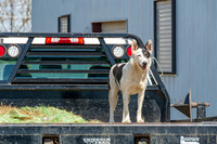 JAX_8271.jpg
