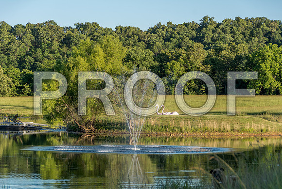 Century Farm Property ©PicsbyJaxLLC 2016-4759.jpg