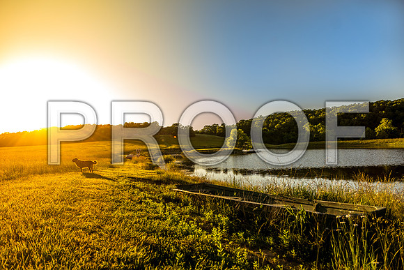 Century Farm Property ©PicsbyJaxLLC 2016-4825.jpg