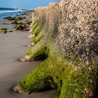 Fort Fisher, NC-0118.jpg