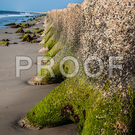 Fort Fisher, NC-0118.jpg