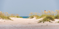 PicsbyJax-0333-2.jpg