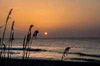 PicsbyJax-0870.jpg