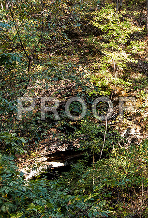 Ha Ha Tonka ©PicsbyJax-0159.jpg