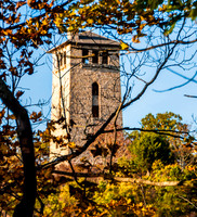 Ha Ha Tonka 2015 -5582.jpg