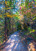 Ha Ha Tonka 2015 -5587.jpg