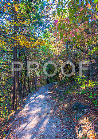 Ha Ha Tonka 2015 -5587.jpg