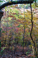 Ha Ha Tonka 2015 -5585.jpg