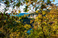 Ha Ha Tonka 2015 -5580.jpg