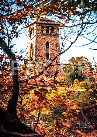Ha Ha Tonka ©PicsbyJax-5582.jpg