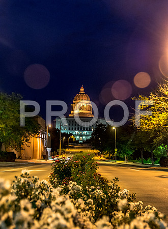 Capitol-6667.jpg