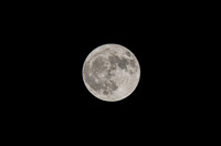 Harvest Moon ©PicsbyJax-8620.jpg