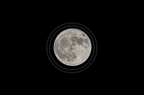 Harvest Moon ©PicsbyJax-8620.jpg