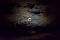 Rare Friday the 13th Harvest Moon ©PicsbyJax-7894.jpg