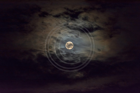 Rare Friday the 13th Harvest Moon ©PicsbyJax-7894.jpg