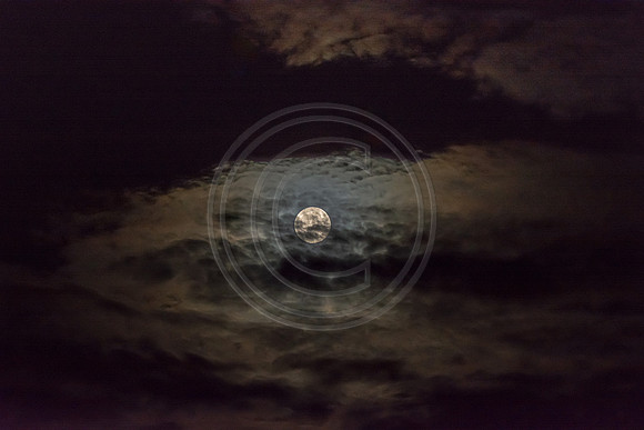 Rare Friday the 13th Harvest Moon ©PicsbyJax-7880.jpg